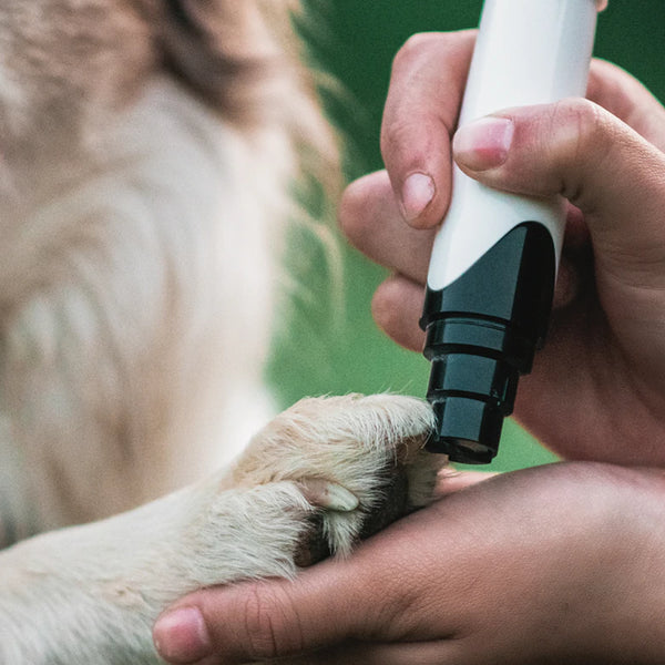 Pet Nail Grinder